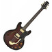 Black Knight AE-703 Electric Guitar 2010 Model