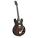 Black Knight AE-703 Electric Guitar 2010 Model