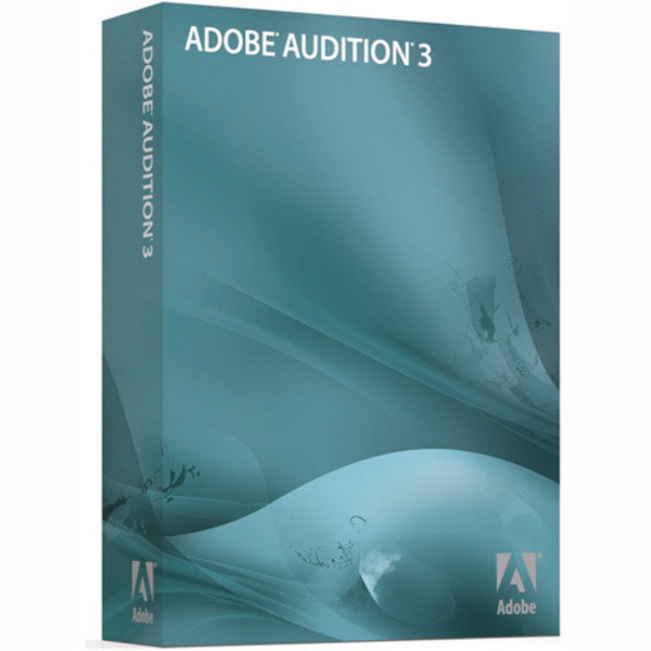 audition3