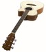 Single Cutaway Electro