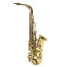 Alto Saxophone, Light Gold