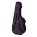 La Patrie Hybrid Cw Lightburst Electro Acoustic