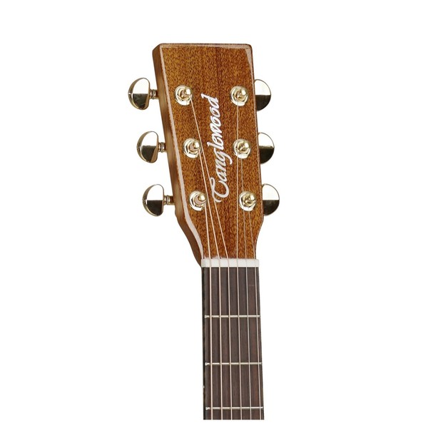 Tanglewood TW15ASM