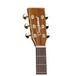 Tanglewood TW15ASM