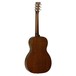 Tanglewood Sundance Delta TW40 PD Parlour Acoustic Guitar