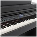 DP-50 Digital Piano by Gear4music, Satin Black