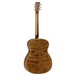 Tanglewood TFA FM Evolution
