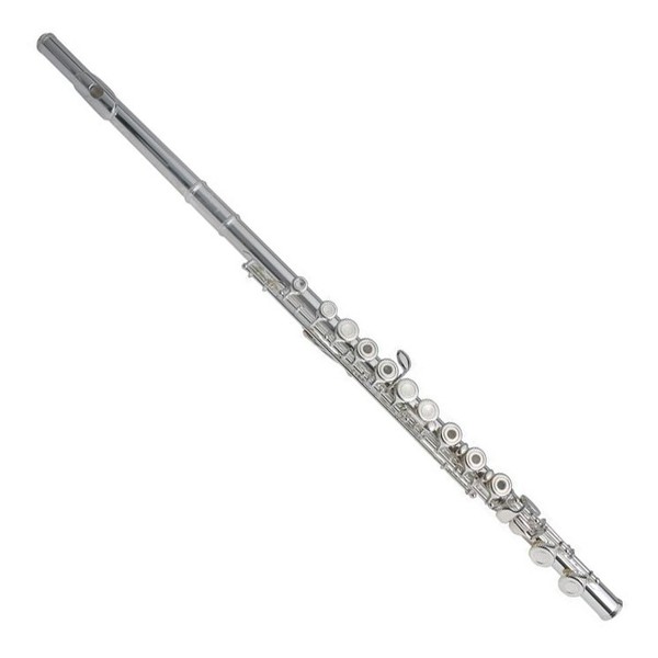 Armstrong FL650RI Beginner Flute, Open Hole