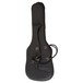 Schecter Gig Bag