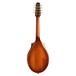 Seagull Guitars S8 Mandolin Burnt Umber SG 