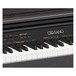 Casio Celviano AP-460 Keys