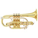 Yamaha YCR8335 Neo Cornet, Lacquer