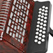 Button Accordion by Gear4music, 12B 31K red	