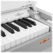 DP-7 Compact Digital Piano by Gear4music, White