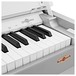 DP-7 Compact Digital Piano by Gear4music + Accessory Pack, White