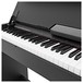 DP-7 Compact Digital Piano by Gear4music + Accessory Pack, White