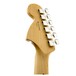 Fender American Special Stratocaster Sunburst