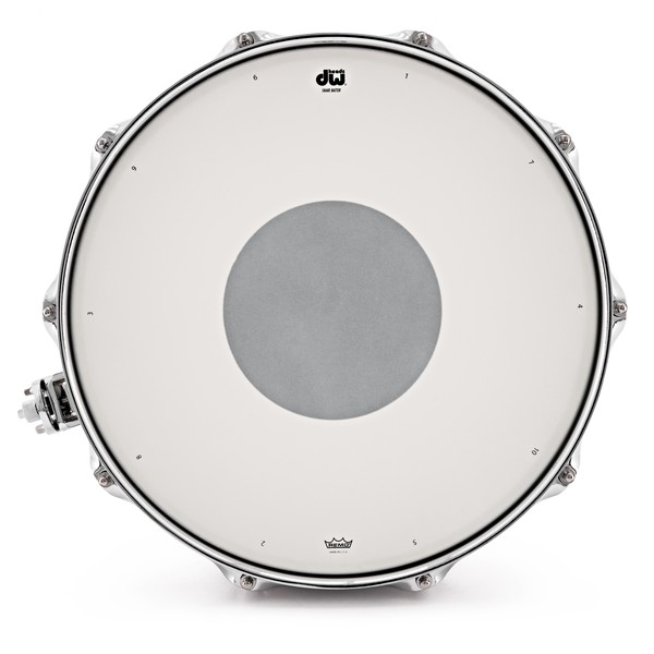 DW Drums Performance Series 14" x 8" Snare Drum, Steel