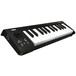 Korg microKEY 25 Key USB MIDI Keyboard 1