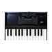 Roland Boutique TB-03 Module with K-25m Keyboard - Keys Top