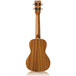 Cordoba 15CM Concert Ukulele, Rear