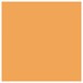 Electrovision High Quality Filter Gel Sheets, 48