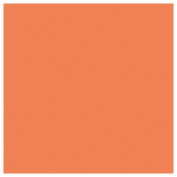 Electrovision High Quality Filter Gel Sheets, 48" x 21", Orange