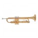 Yamaha YTR2330 Student Trumpet Beginners Pack, Gold Lacquer 2