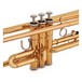 Yamaha YTR2330 Student Trumpet Beginners Pack