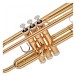 Yamaha YTR2330 Student Trumpet Beginners Pack, Gold Lacquer 5