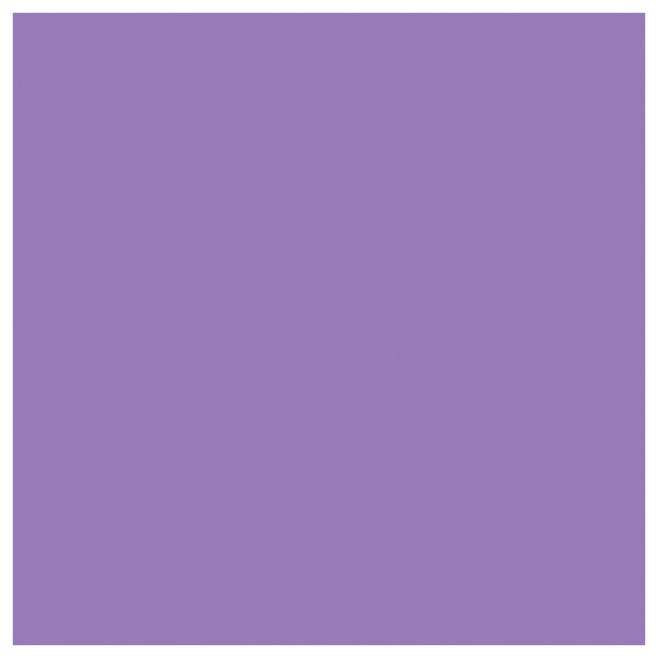 Electrovision High Quality Filter Gel Sheets, 48" x 21", Lavender