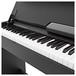 DP-7 Compact Digital Piano by Gear4music, Black