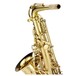 Jupiter JAS-1100 Performers Alto Saxophone Outfit, Hard Shell Case