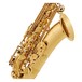 Tenor Saxophone