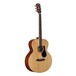 Alvarez ABT60 Baritone Acoustic Guitar (2016)