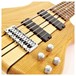 Oregon 6 String Bass + SubZero V35B Amp Pack
