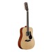 Alvarez AD60-12 12-String Acoustic Guitar (2016)