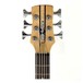 Oregon 6 String Bass + SubZero V35B Amp Pack, Natural
