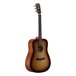 Alvarez AD60SHB Acoustic Guitar, Shadowburst (2016)