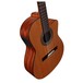 Alvarez AC65CE Electro Classical Guitar (2016)