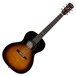 Alvarez Delta00/TSB Acoustic Guitar (2016)