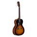 Alvarez Delta00/TSB Acoustic Guitar (2016)