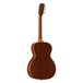 Alvarez Delta00/TSB Acoustic Guitar (2016)