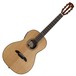 Alvarez MPA70E-LRB Parlor Electro Acoustic Guitar (2016)