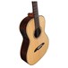 Alvarez MPA70E-LRB Parlor Electro Acoustic Guitar (2016)