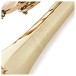 B&S Challenger 1 Trumpet, Clear Lacquer