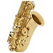 Alto Saxophone by Gear4music, Light Gold NEW