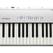 Roland FP-30 Digital Piano, White