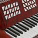 Accordion by Gear4music, 24 Bass