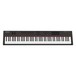 Nektar Impact LX 88 with Synthogy Ivory II Grand Pianos - Nektar Top